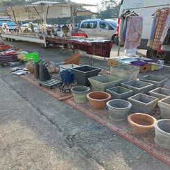 20220522_080452.jpg
