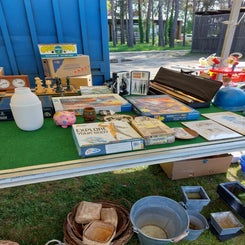 20230513_113314.jpg