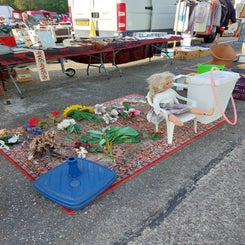 20220522_080437.jpg