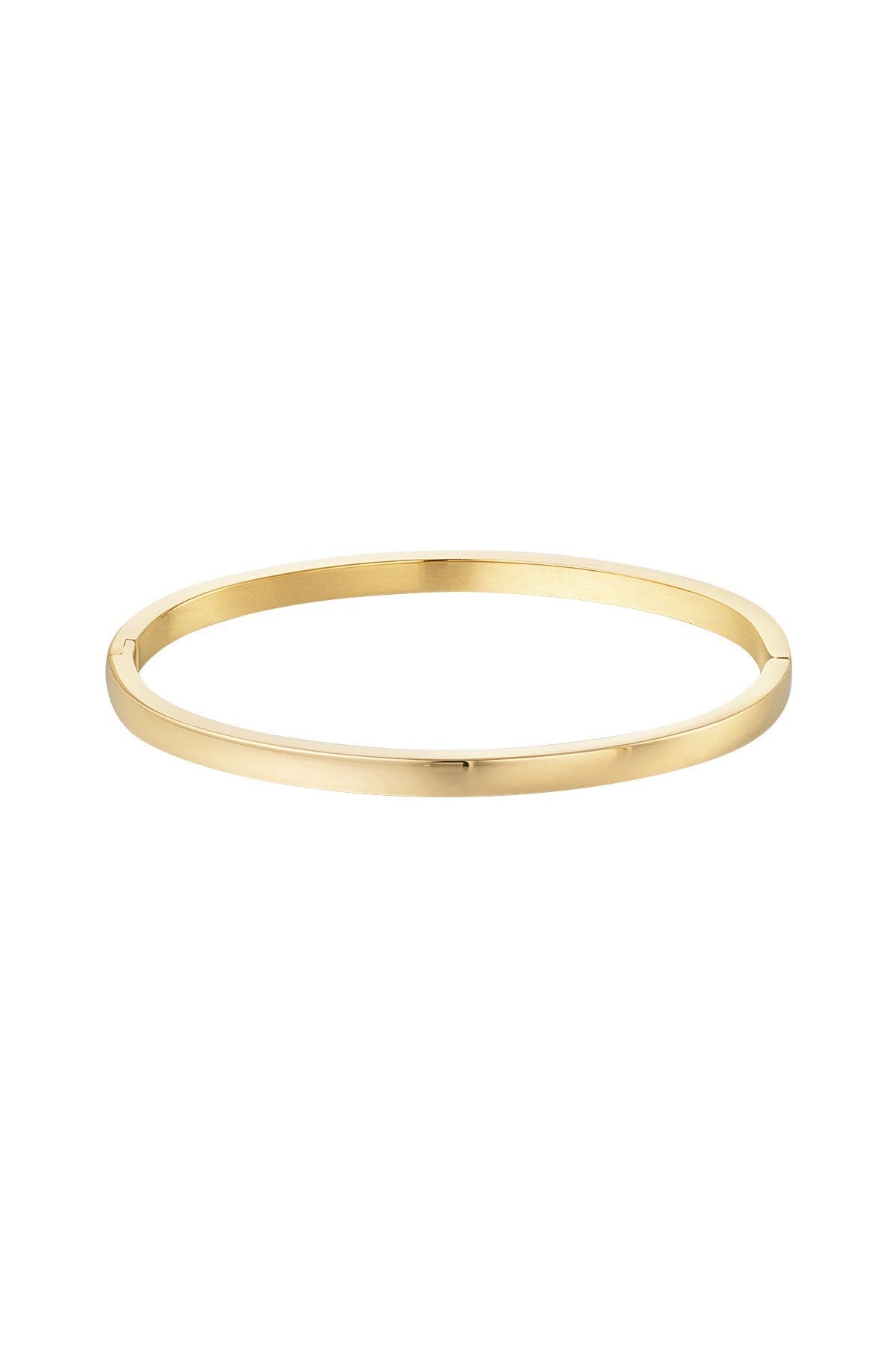 Armband - Bangle Basic Goud