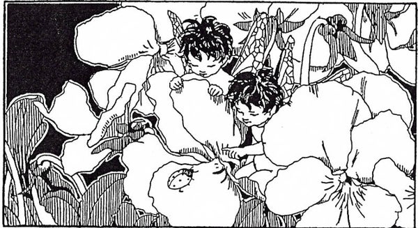 EI N1218/16 The visitor