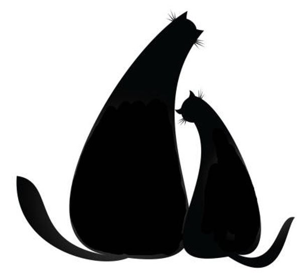 SW J17041/199 Catslove