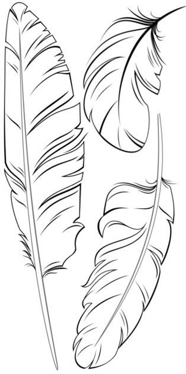 SW P17069/203 Three white feathers