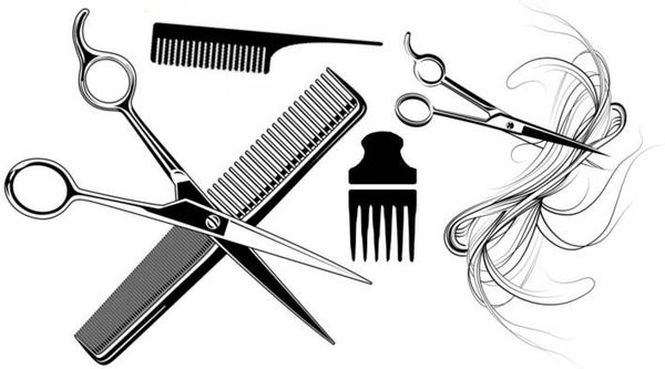 SW Q17009/195 Hairdressing attributes