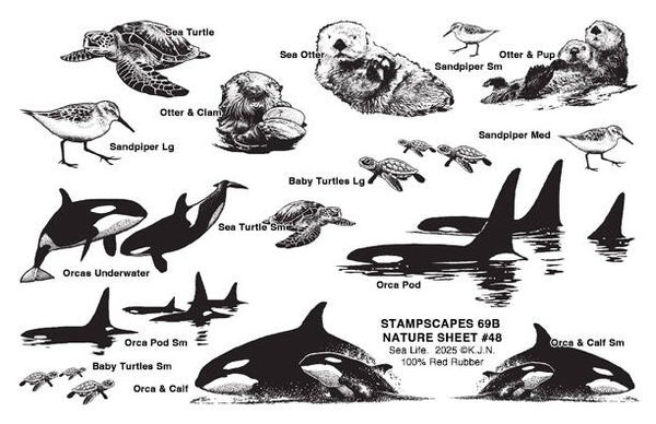 69B-UM Nature sheet 48 Sea life