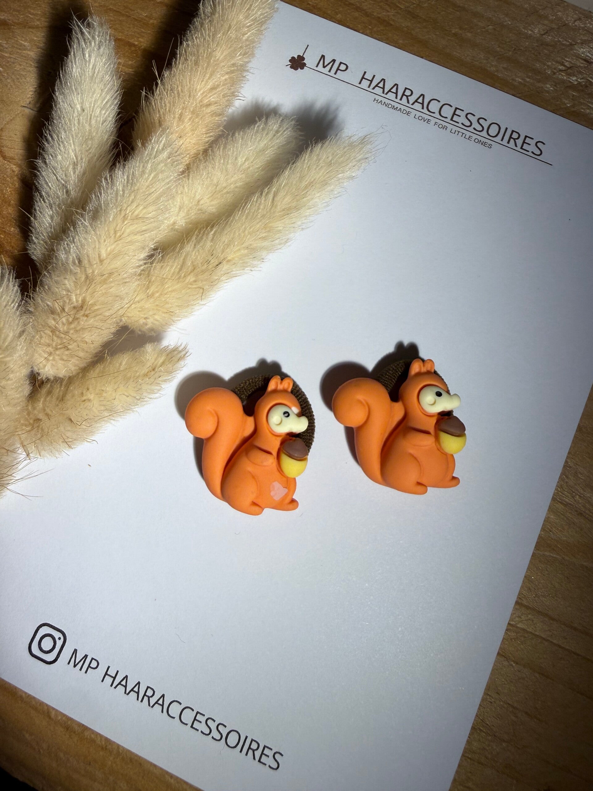 Elastiekjes | Eekhoorn