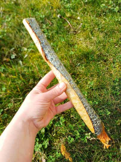 Peaux de saumon (sauvage) avec chaire