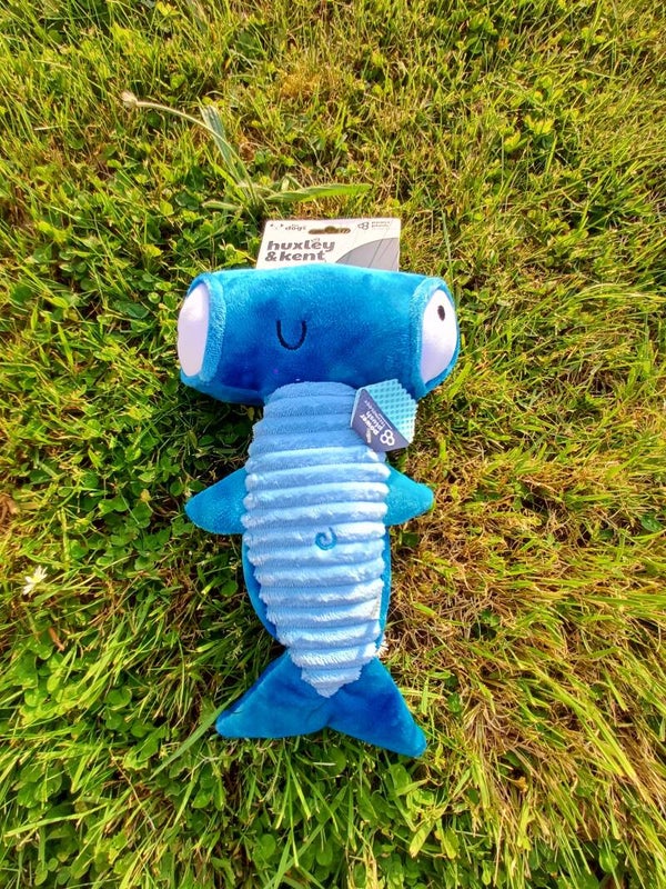 Petit requin marteau