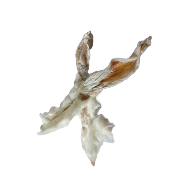 Oreilles de lapin avec poils