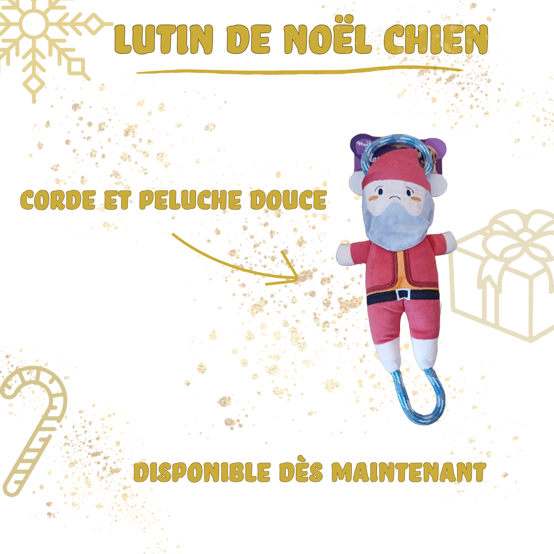 Lutin Noël peluche et corde chien