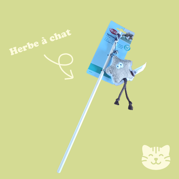 Canne à Pêche pour chat en bois avec étoile et herbe à chat