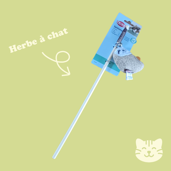 Canne à Pêche pour chat en bois avec paresseux et herbe à chat