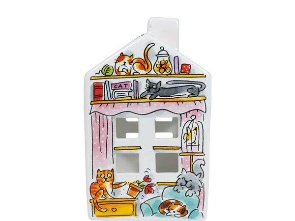 BLOND AMSTERDAM  DIER: LIGHT HOUSE CAT  201923