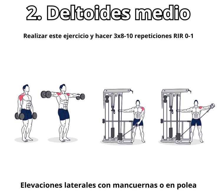 Ejercicios para el deltoides medio: Tener hombros redondos