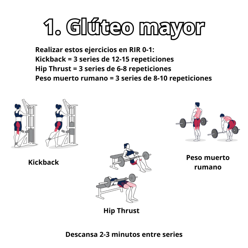 Ejercicios para entrenar el glúteo mayor