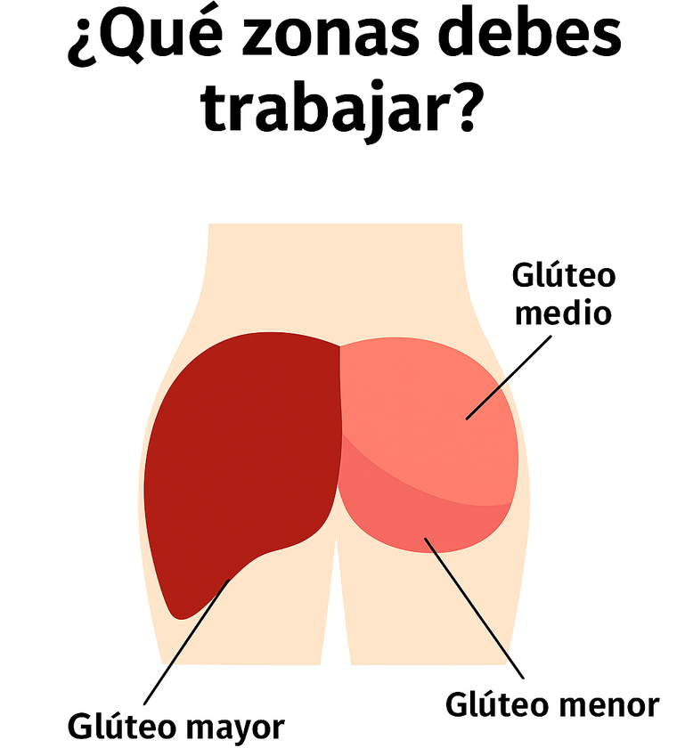 Que zonas del glúteo debes trabajar