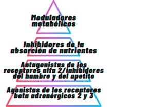 Los Mejores Suplementos para Perder Grasa y Cómo Funcionan