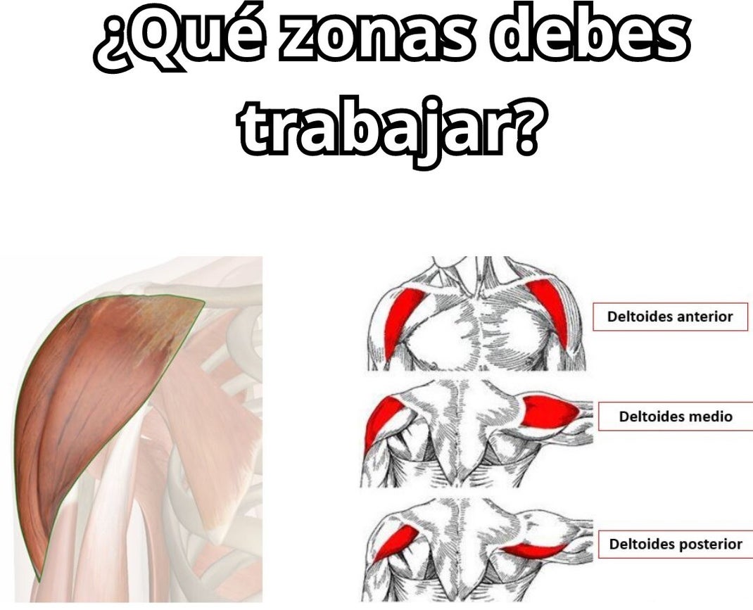 Zonas de entrenamiento del hombro