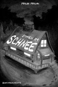 Buchcover "Stimmen im Schnee"