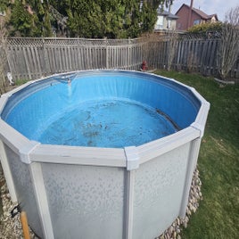 20250423_090430-standard.jpg