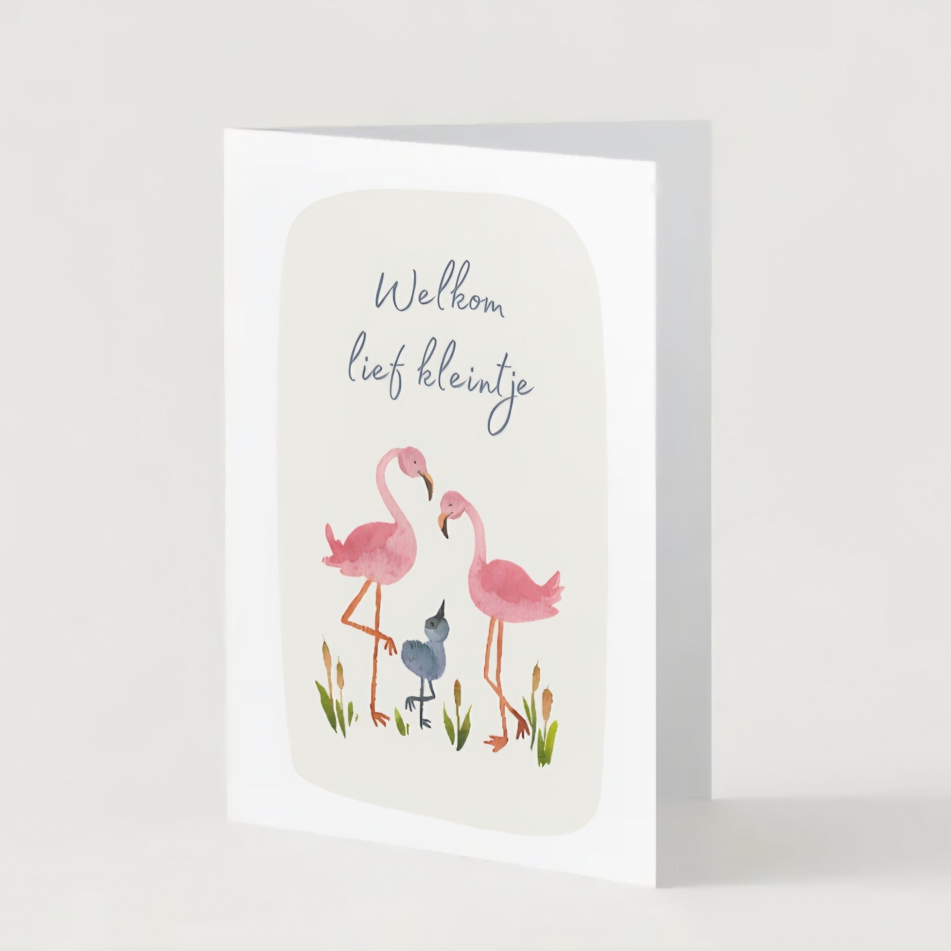 Welkom lief kleintje