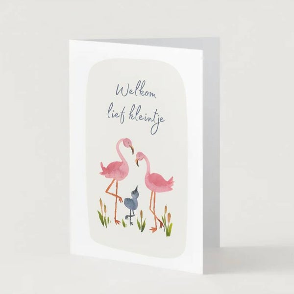 Welkom lief kleintje