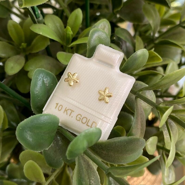 BROQUEL ESTRELLA DE MAR