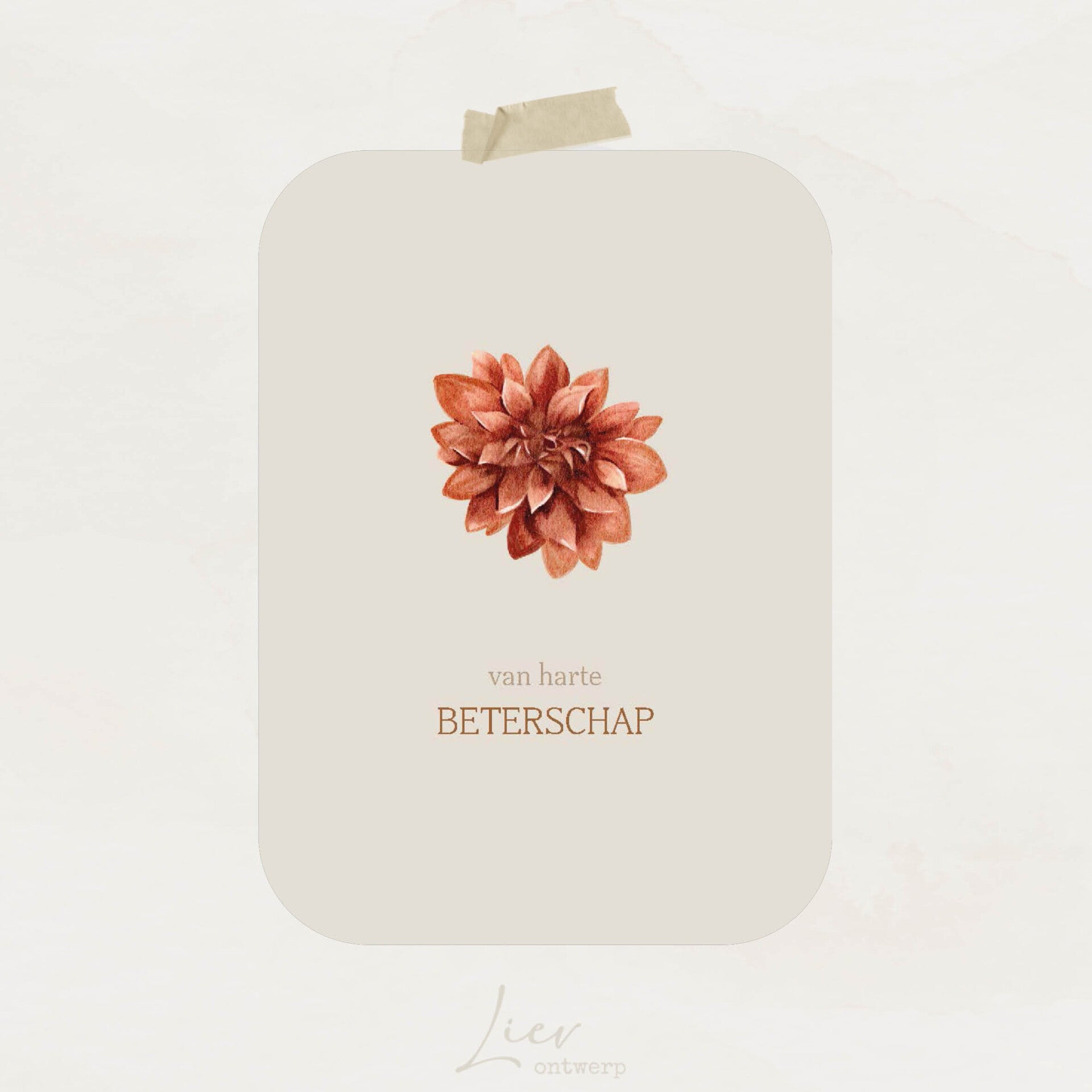 Chrysant | Beterschap