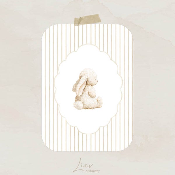 Liev Serie baby - Konijntje