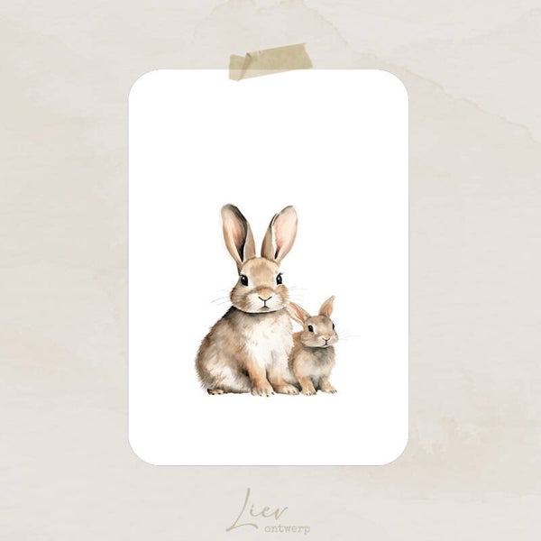 Konijntjes | Blanco (A6)