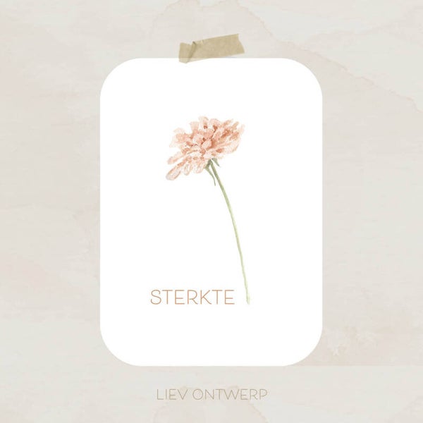 Sterkte - bloem