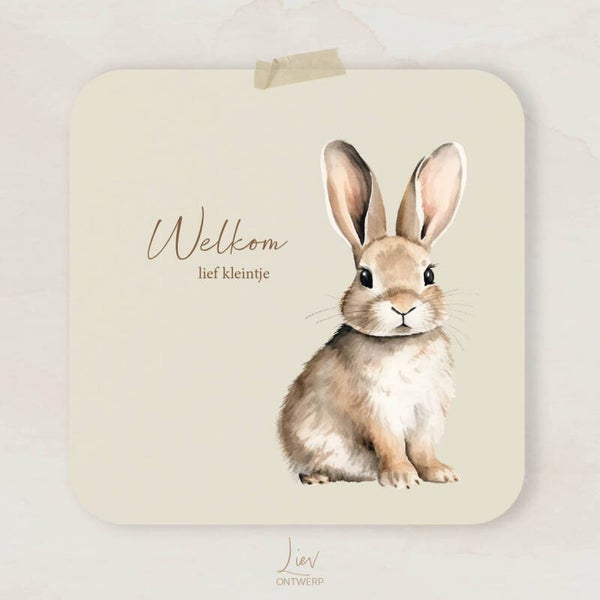 Konijntje - Welkom lief kleintje | Vierkant