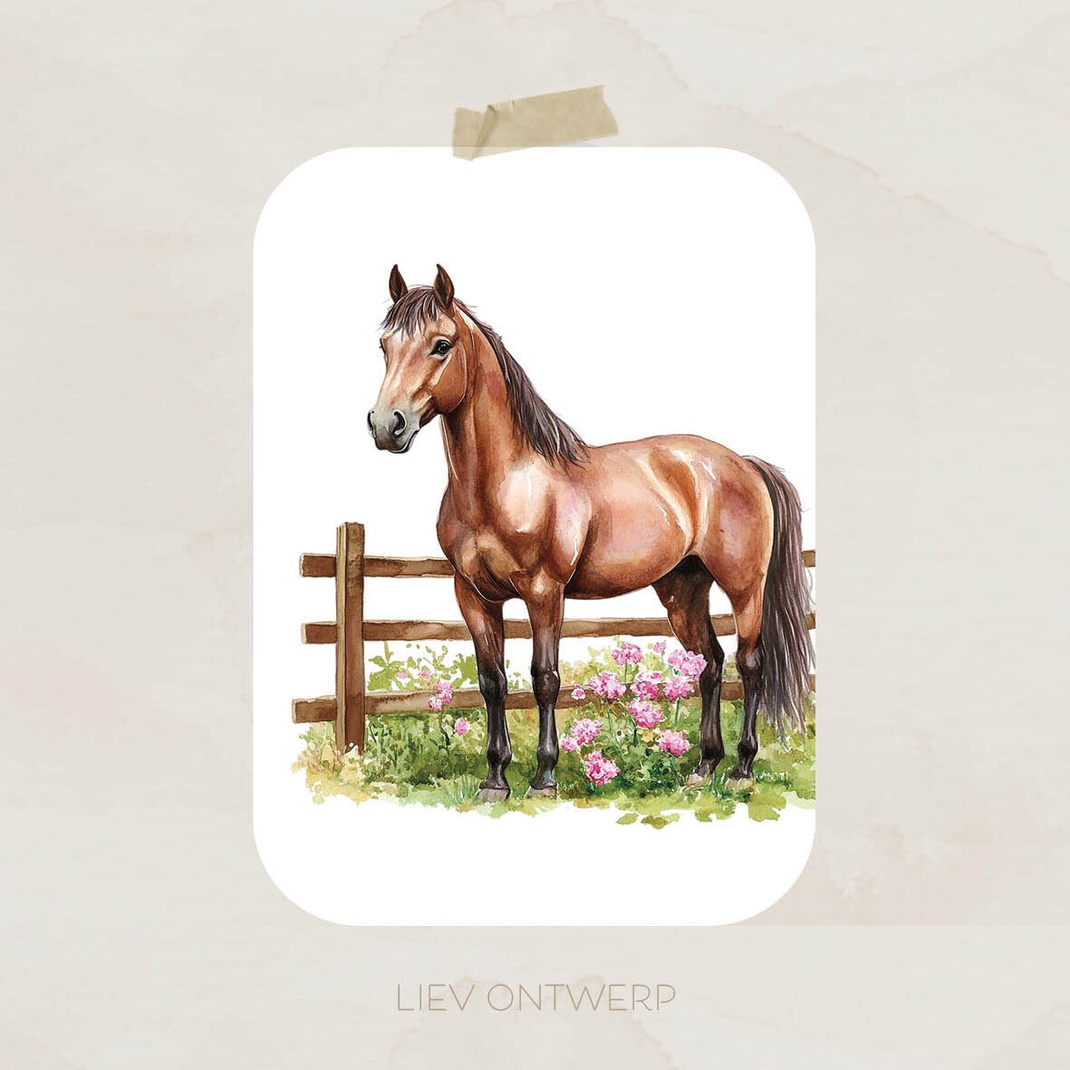 Paard