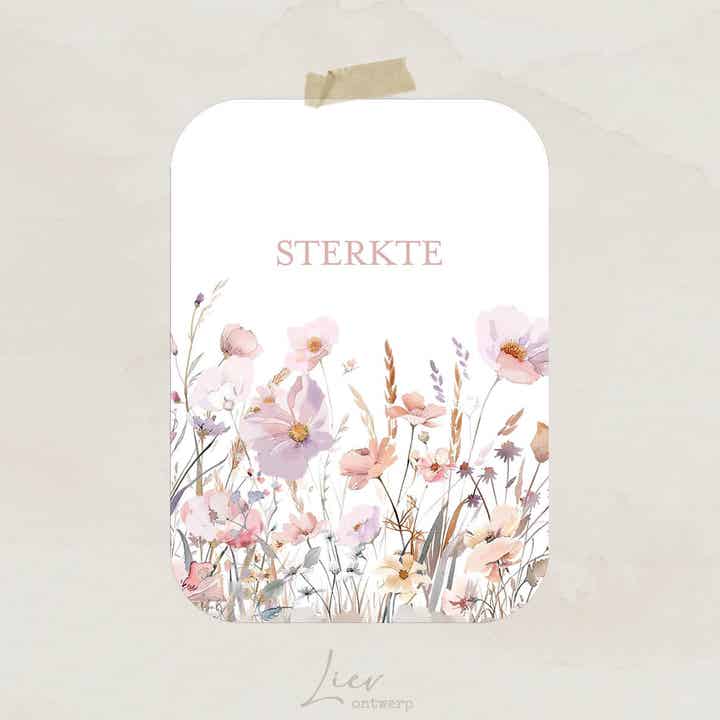 Lila veldbloemen | Sterkte