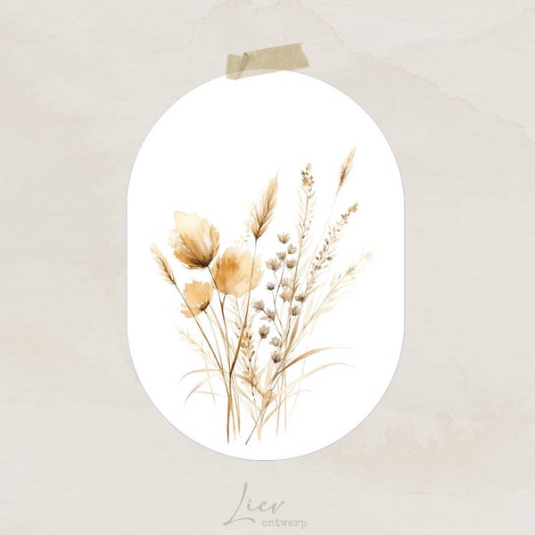 Droogboeket | Blanco - Ovaal