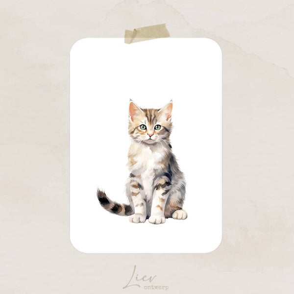 A5 formaat - Poster - Poes