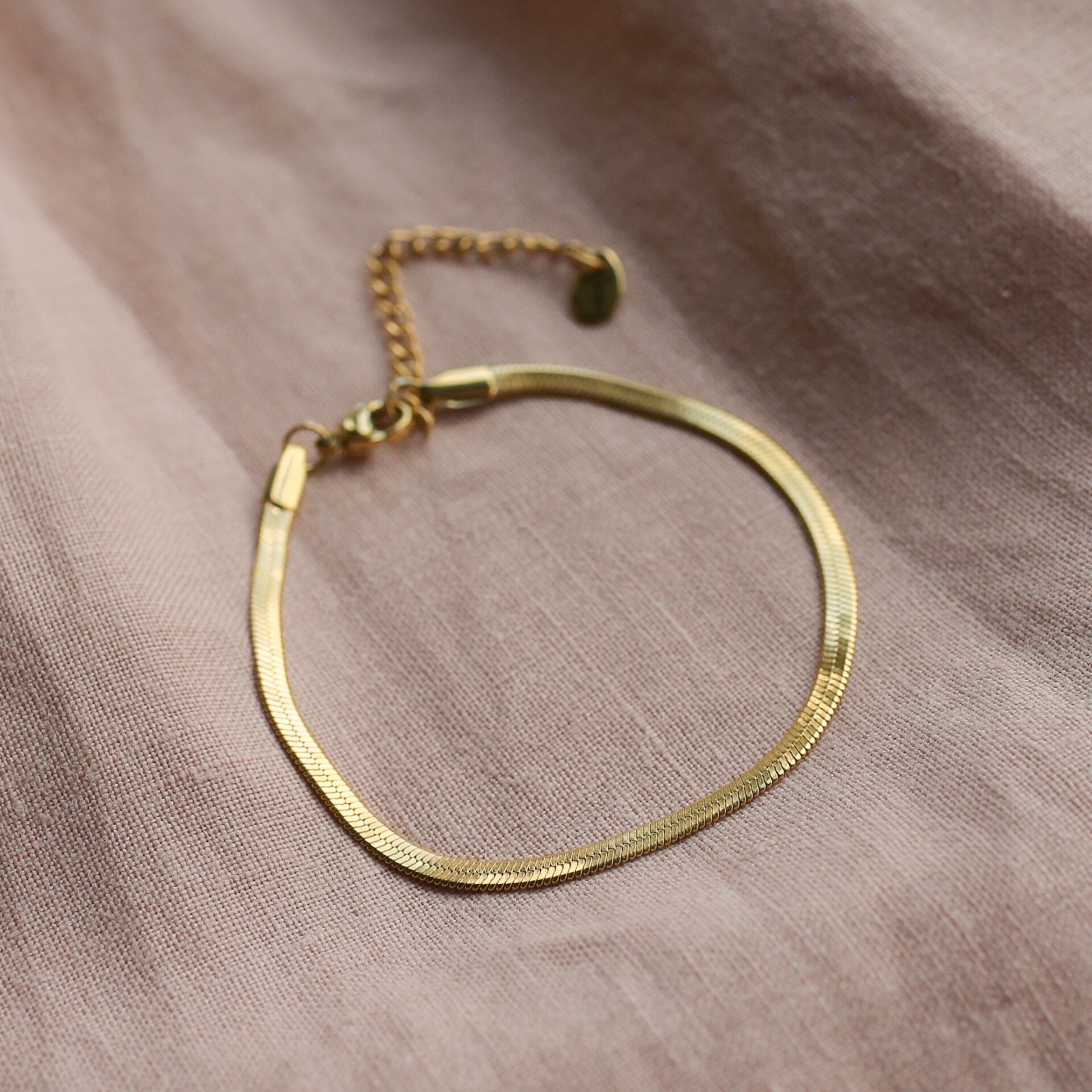 Stalen armband “platte slang” - goud