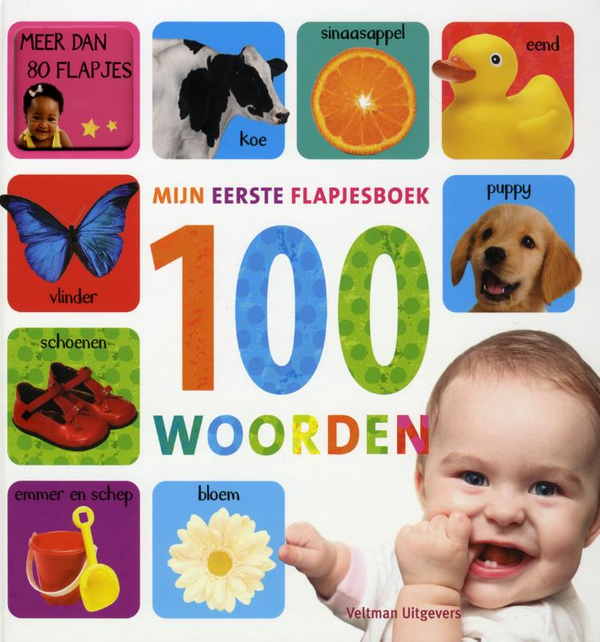 Mijn eerste flapjesboek 100 woorden.