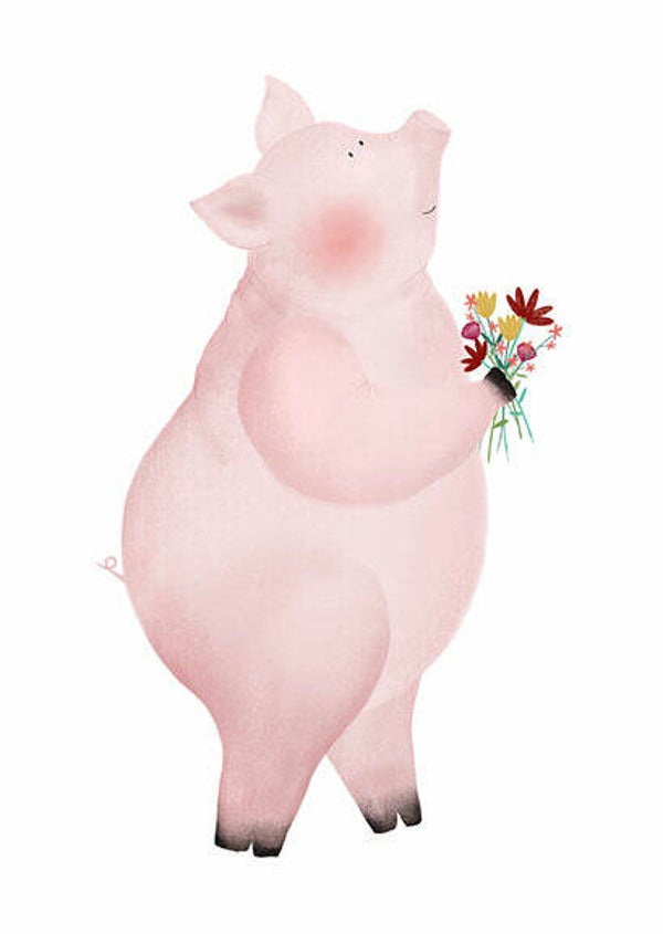 Getekenddoorzusje. Varken met bloemen. Wenskaart