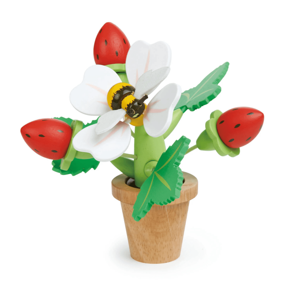 TLT Aardbeienplantje met bij ?