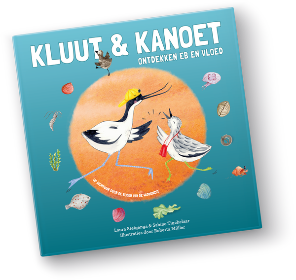 Kluut en Kanoet ontdekken eb en vloed