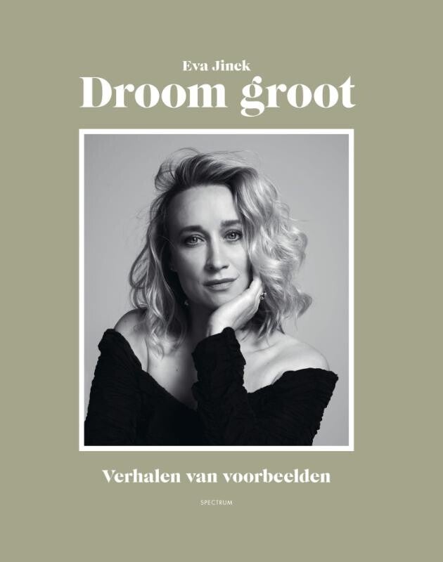 Droom groot, Verhalen van voorbeelden
