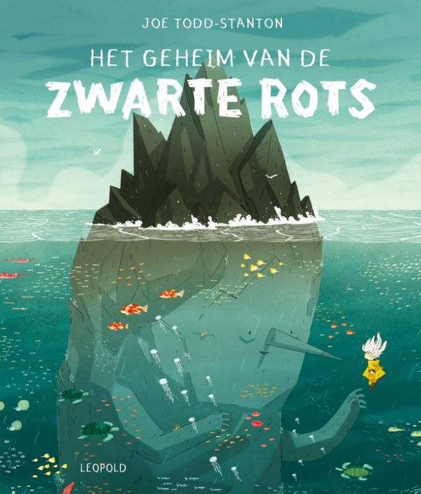Het geheim van de zwarte rots
