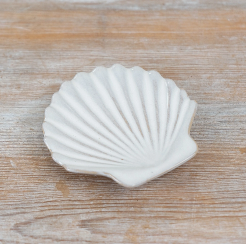 Elegant Natural White Shell Dish 11cm