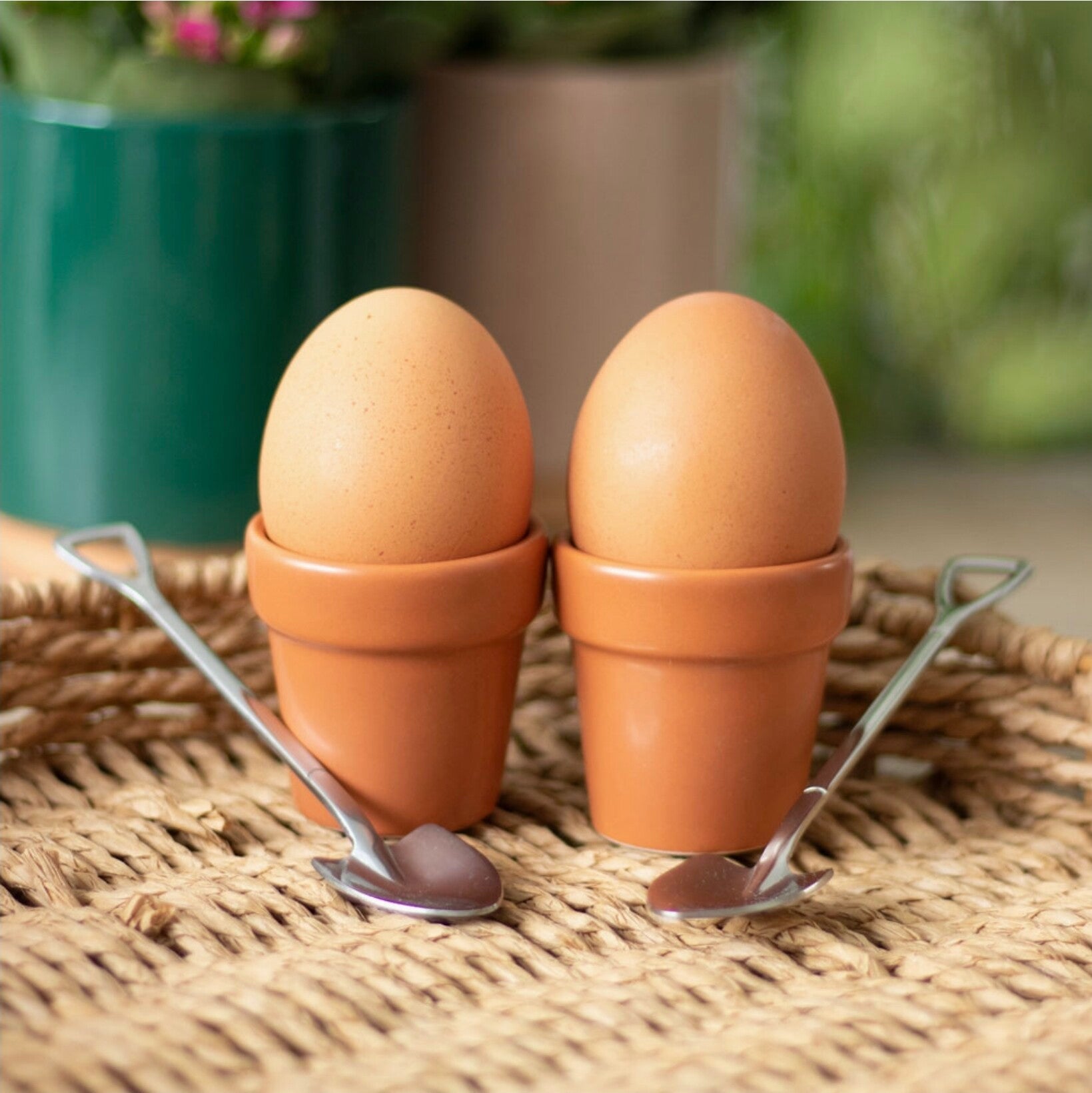 Plant Pot Egg Cup Set With Shovel