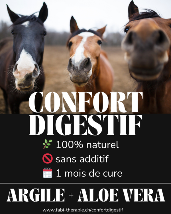 Confort digestif OFFRE PRE-COMMANDE