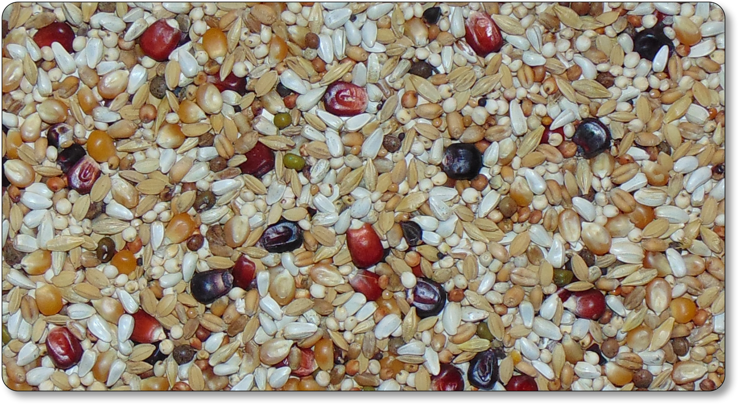 D09 - Diamond Bergemann Light 20KG