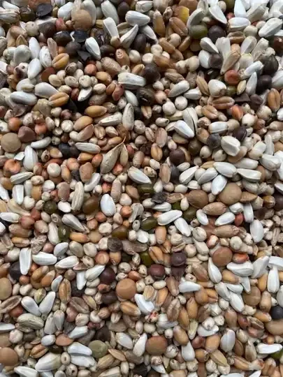 D10 - Paloma W.S. Diamond 20KG