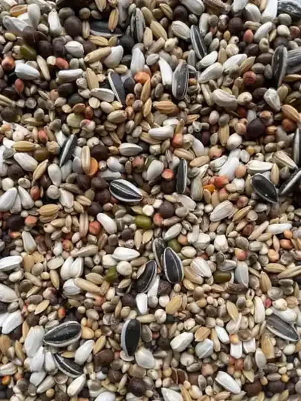 D24 - Paloma Diamond Snoep 20KG