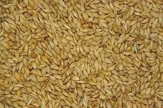 S921 - Paloma Paddy rijst2KG